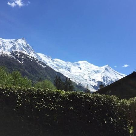 Studio Au Calme Avec Jardin Et Vue Mont-Blanc Chamonix Luaran gambar