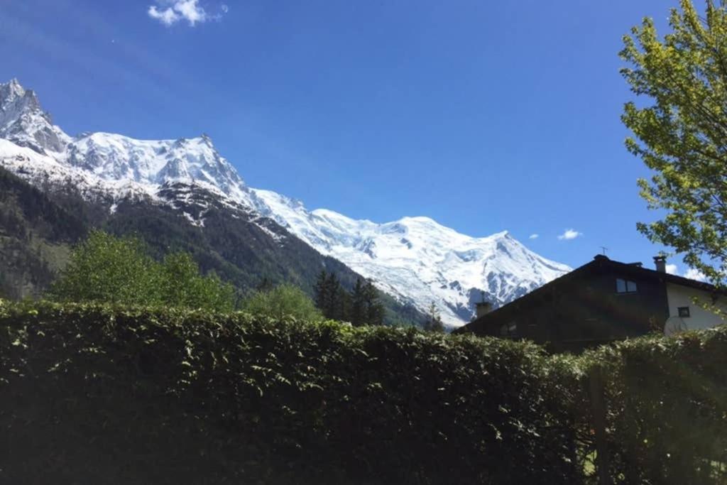 Studio Au Calme Avec Jardin Et Vue Mont-Blanc Chamonix Luaran gambar