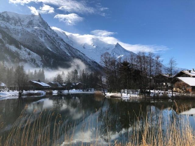 Studio Au Calme Avec Jardin Et Vue Mont-Blanc Chamonix Luaran gambar
